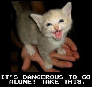 picture of kitten with text "it's dangerous to go alone. take this."