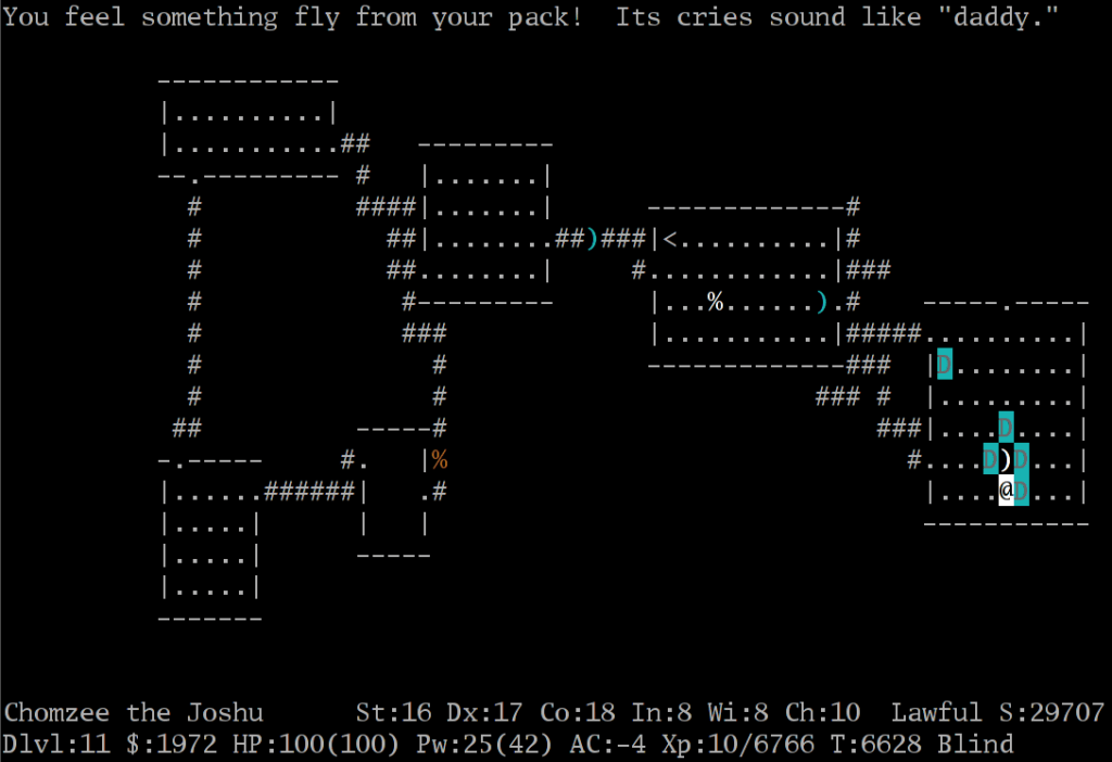 screenshot of nethack